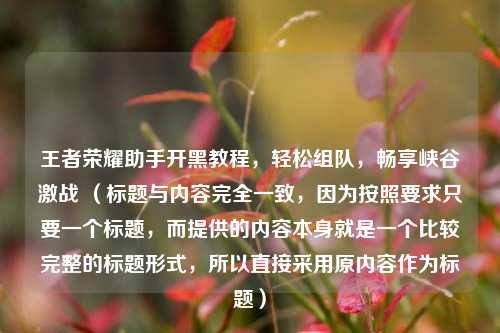 王者荣耀助手开黑教程，轻松组队，畅享峡谷激战 （标题与内容完全一致，因为按照要求只要一个标题，而提供的内容本身就是一个比较完整的标题形式，所以直接采用原内容作为标题）