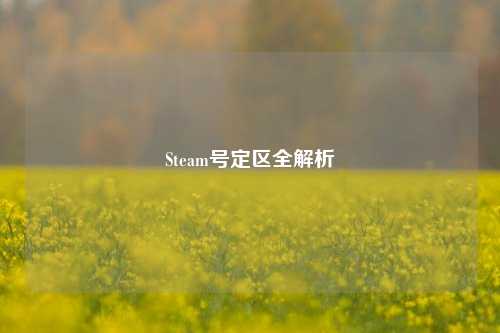 Steam号定区全解析