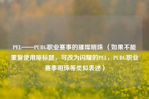 PEL——PUBG职业赛事的璀璨明珠 (如果不能重复使用原标题,可改为闪耀的PEL,PUBG职业赛事明珠等类似表述)