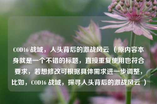 COD16 战域,人头背后的激战风云 (原内容本身就是一个不错的标题,直接重复使用也符合要求,若想修改可根据具体需求进一步调整,比如,COD16 战域,探寻人头背后的激战风云 )