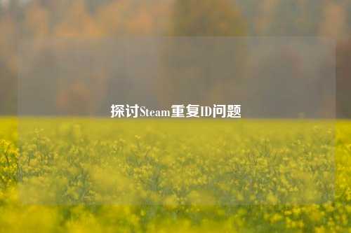 探讨Steam重复ID问题