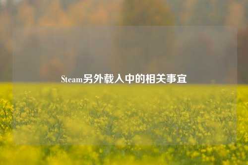 Steam另外载入中的相关事宜