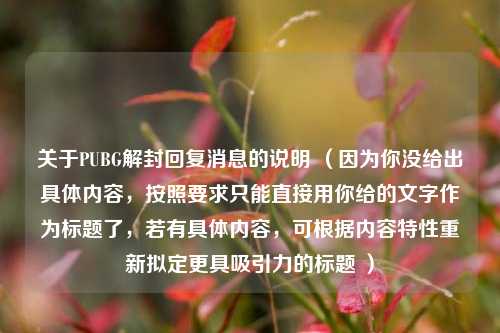 关于PUBG解封回复消息的说明 (因为你没给出具体内容,按照要求只能直接用你给的文字作为标题了,若有具体内容,可根据内容特性重新拟定更具吸引力的标题 )
