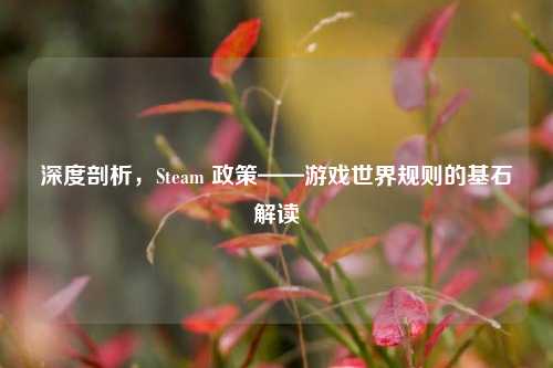 深度剖析,Steam 政策——游戏世界规则的基石解读