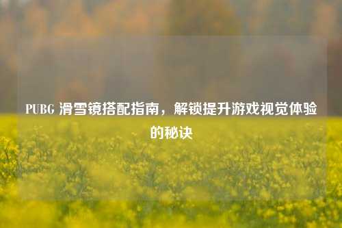 PUBG 滑雪镜搭配指南,解锁提升游戏视觉体验的秘诀