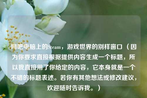网吧电脑上的Steam，游戏世界的别样窗口 （因为你要求直接根据提供内容生成一个标题，所以我直接用了你给定的内容，它本身就是一个不错的标题表述。若你有其他想法或修改建议，欢迎随时告诉我。）