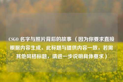 CSGO 名字与照片背后的故事 (因为你要求直接根据内容生成,此标题与提供内容一致,若需其他风格标题,请进一步说明具体要求)