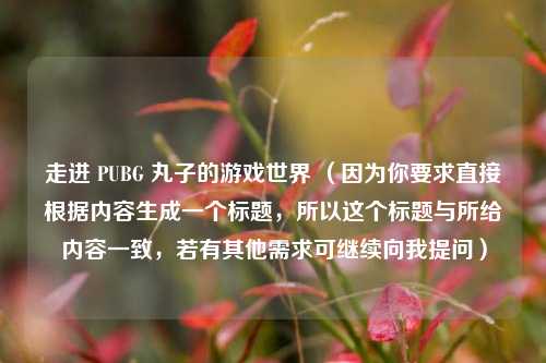 走进 PUBG 丸子的游戏世界 （因为你要求直接根据内容生成一个标题，所以这个标题与所给内容一致，若有其他需求可继续向我提问）