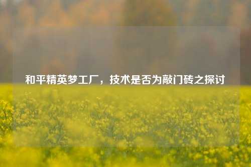 和平精英梦工厂，技术是否为敲门砖之探讨