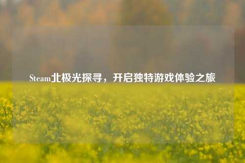 Steam北极光探寻,开启独特游戏体验之旅
