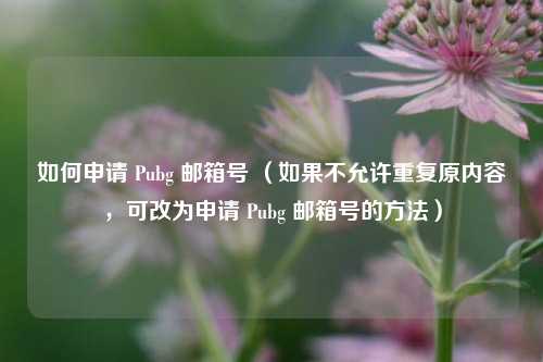 如何申请 Pubg 邮箱号 (如果不允许重复原内容,可改为申请 Pubg 邮箱号的方法)