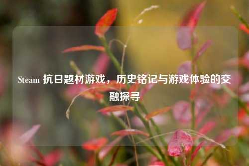 Steam 抗日题材游戏,历史铭记与游戏体验的交融探寻