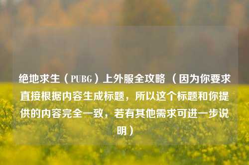 绝地求生（PUBG）上外服全攻略 （因为你要求直接根据内容生成标题，所以这个标题和你提供的内容完全一致，若有其他需求可进一步说明）