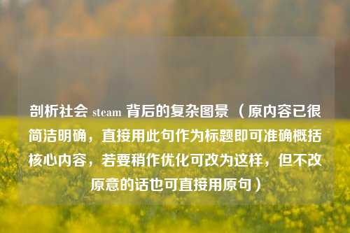 剖析社会 steam 背后的复杂图景 (原内容已很简洁明确,直接用此句作为标题即可准确概括核心内容,若要稍作优化可改为这样,但不改原意的话也可直接用原句)