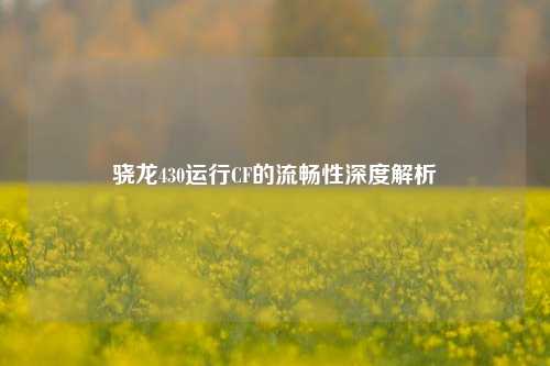 骁龙430运行CF的流畅性深度解析