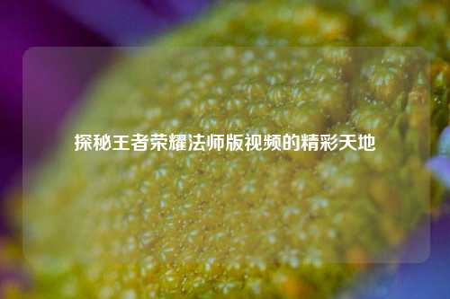 探秘王者荣耀法师版视频的精彩天地