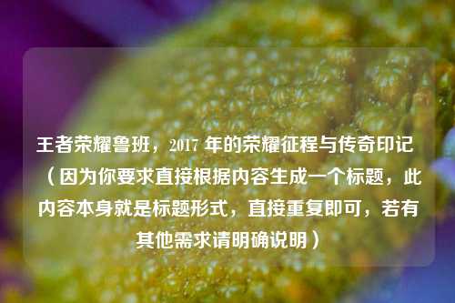 王者荣耀鲁班，2017 年的荣耀征程与传奇印记 （因为你要求直接根据内容生成一个标题，此内容本身就是标题形式，直接重复即可，若有其他需求请明确说明）