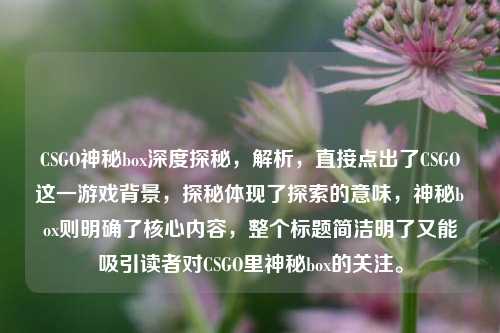 CSGO神秘box深度探秘，解析，直接点出了CSGO这一游戏背景，探秘体现了探索的意味，神秘box则明确了核心内容，整个标题简洁明了又能吸引读者对CSGO里神秘box的关注。