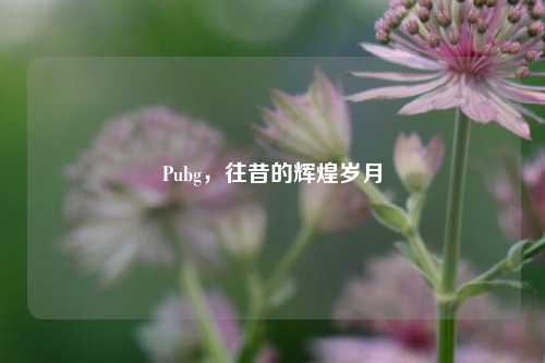 Pubg,往昔的辉煌岁月