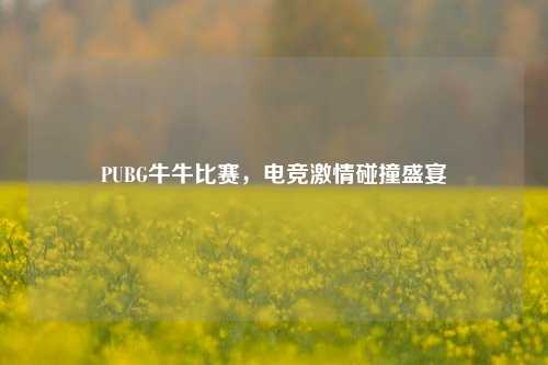 PUBG牛牛比赛，电竞激情碰撞盛宴