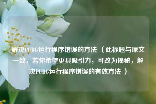 解决PUBG运行程序错误的方法 （此标题与原文一致，若你希望更具吸引力，可改为揭秘，解决PUBG运行程序错误的有效方法 ）