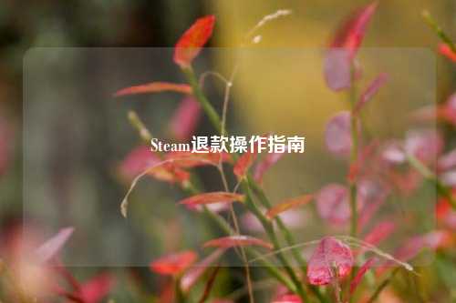 Steam退款操作指南