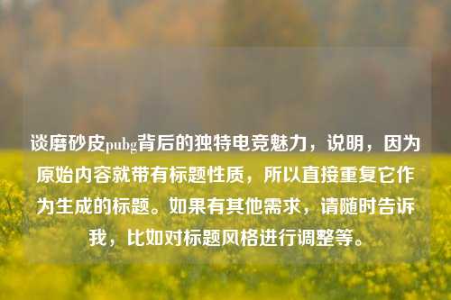 谈磨砂皮pubg背后的独特电竞魅力，说明，因为原始内容就带有标题性质，所以直接重复它作为生成的标题。如果有其他需求，请随时告诉我，比如对标题风格进行调整等。