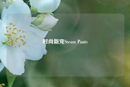 时尚新宠Steam Pants