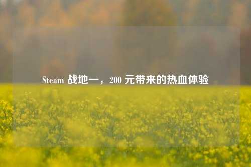 Steam 战地一，200 元带来的热血体验