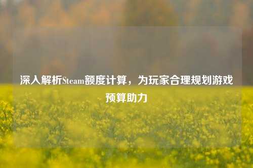 深入解析Steam额度计算,为玩家合理规划游戏预算助力