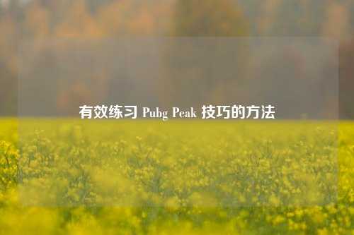 有效练习 Pubg Peak 技巧的方法