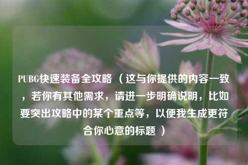PUBG快速装备全攻略 (这与你提供的内容一致,若你有其他需求,请进一步明确说明,比如要突出攻略中的某个重点等,以便我生成更符合你心意的标题 )