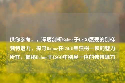 供你参考,,深度剖析Balme于CSGO展现的别样独特魅力,探寻Balme在CSGO里独树一帜的魅力所在,揭秘Balme于CSGO中别具一格的独特魅力