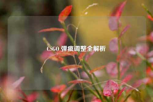 CSGO 弹痕调整全解析