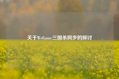 关于WeGame三国杀同步的探讨