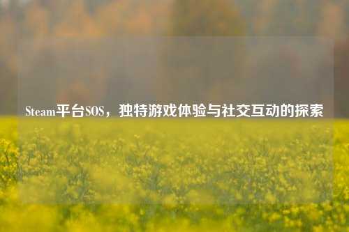 Steam平台SOS，独特游戏体验与社交互动的探索