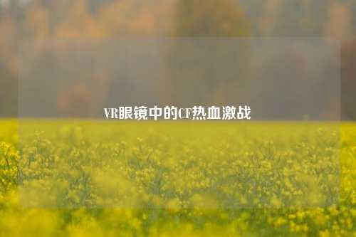 VR眼镜中的CF热血激战