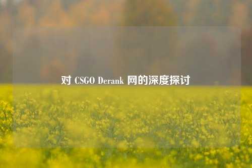 对 CSGO Derank 网的深度探讨