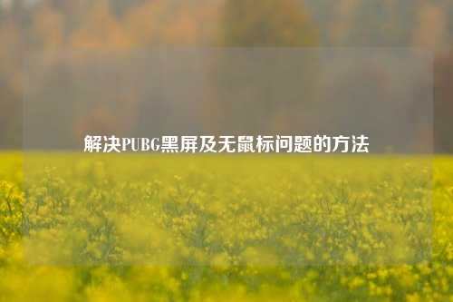 解决PUBG黑屏及无鼠标问题的方法