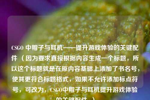 CSGO 中帽子与耳机——提升游戏体验的关键配件 （因为要求直接根据内容生成一个标题，所以这个标题就是在原内容基础上添加了书名号，使其更符合标题格式，如果不允许添加标点符号，可改为，CSGO中帽子与耳机提升游戏体验的关键配件  ）
