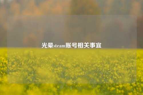 光晕steam账号相关事宜