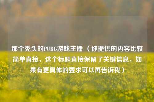 那个秃头的PUBG游戏主播 （你提供的内容比较简单直接，这个标题直接保留了关键信息，如果有更具体的要求可以再告诉我）