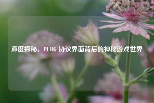 深度探秘，PUBG 协议界面背后的神秘游戏世界
