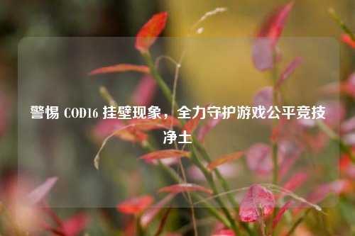 警惕 COD16 挂壁现象，全力守护游戏公平竞技净土