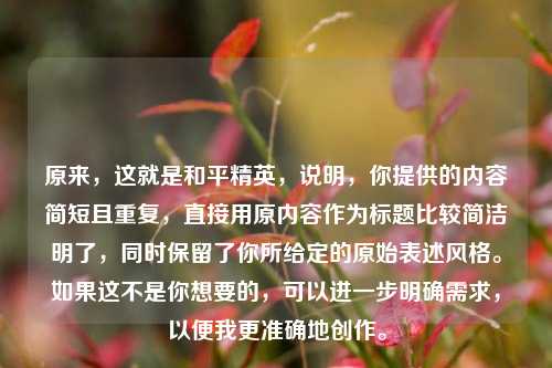 原来,这就是和平精英,说明,你提供的内容简短且重复,直接用原内容作为标题比较简洁明了,同时保留了你所给定的原始表述风格。如果这不是你想要的,可以进一步明确需求,以便我更准确地创作。