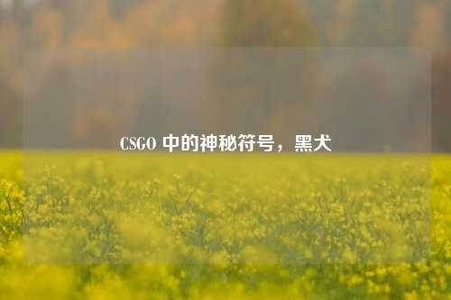 CSGO 中的神秘符号，黑犬