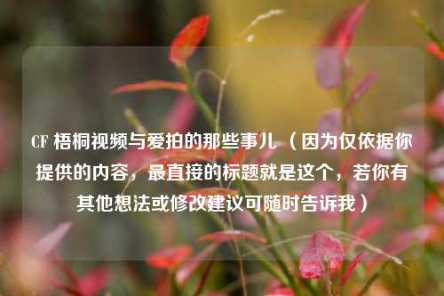 CF 梧桐视频与爱拍的那些事儿 （因为仅依据你提供的内容，最直接的标题就是这个，若你有其他想法或修改建议可随时告诉我）