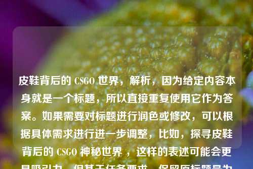 皮鞋背后的 CSGO 世界,解析,因为给定内容本身就是一个标题,所以直接重复使用它作为答案。如果需要对标题进行润色或修改,可以根据具体需求进行进一步调整,比如,探寻皮鞋背后的 CSGO 神秘世界 ,这样的表述可能会更具吸引力,但基于任务要求,保留原标题最为直接准确。