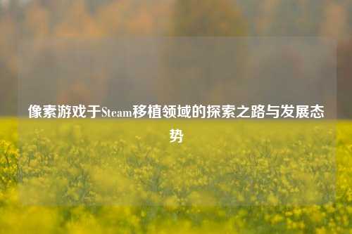 像素游戏于Steam移植领域的探索之路与发展态势