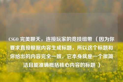 CSGO 完美聊天，连接玩家的竞技纽带 （因为你要求直接根据内容生成标题，所以这个标题和你给出的内容完全一致，它本身就是一个很简洁且能准确概括核心内容的标题 ）